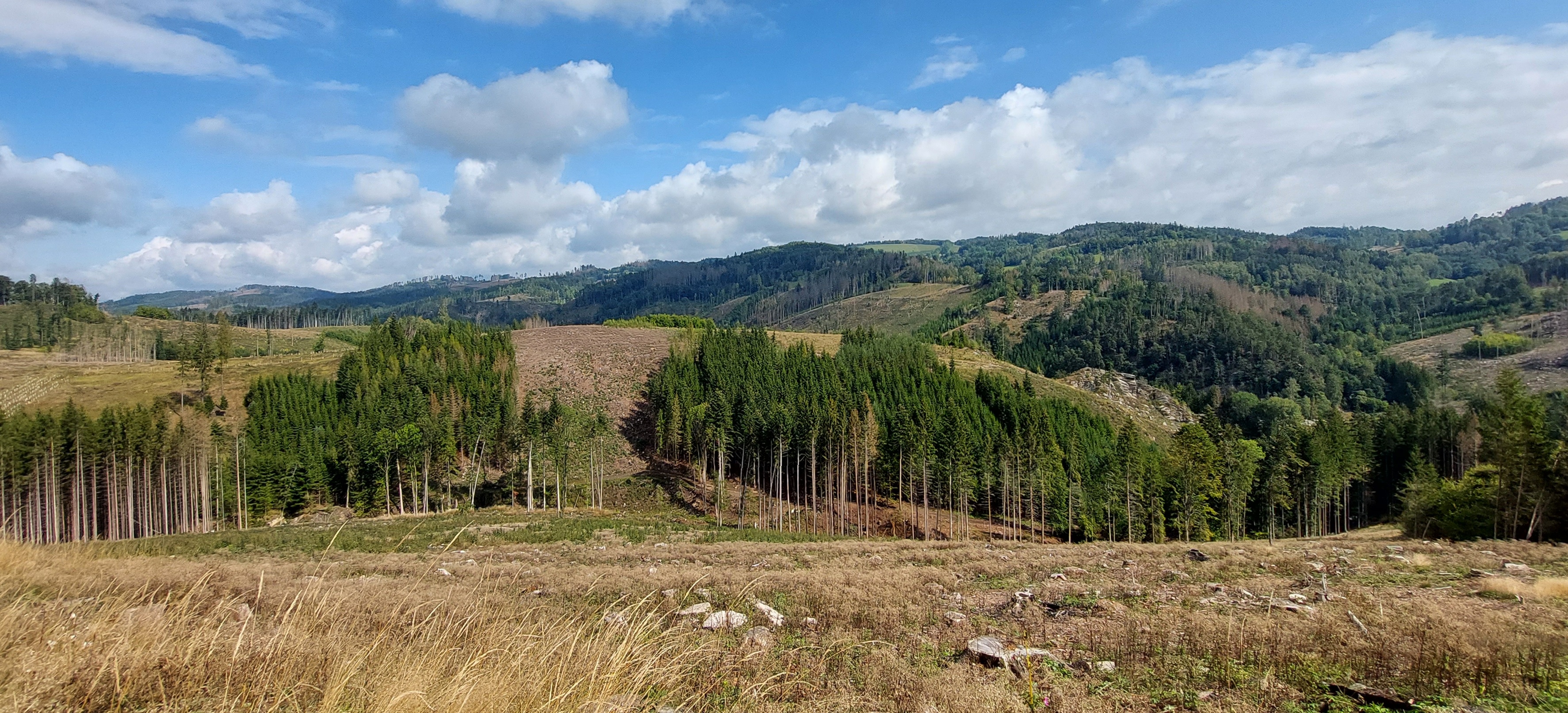 Trasa 44 km